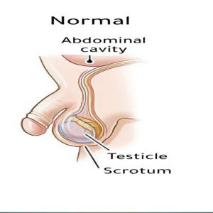 untitled design (17)