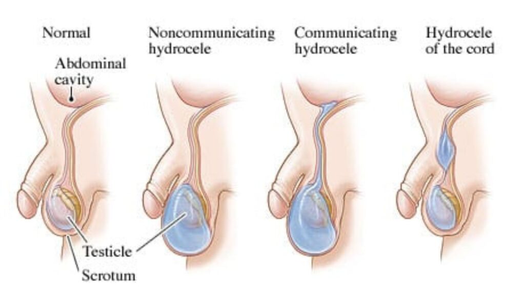 untitled design (18)