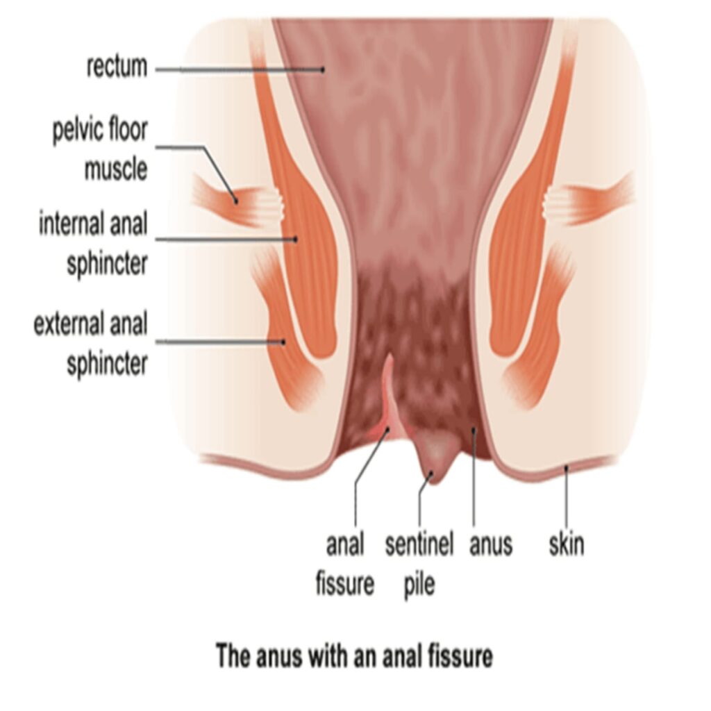 whatsapp image 2025 11 03 at 00.47.05 cfdc06af