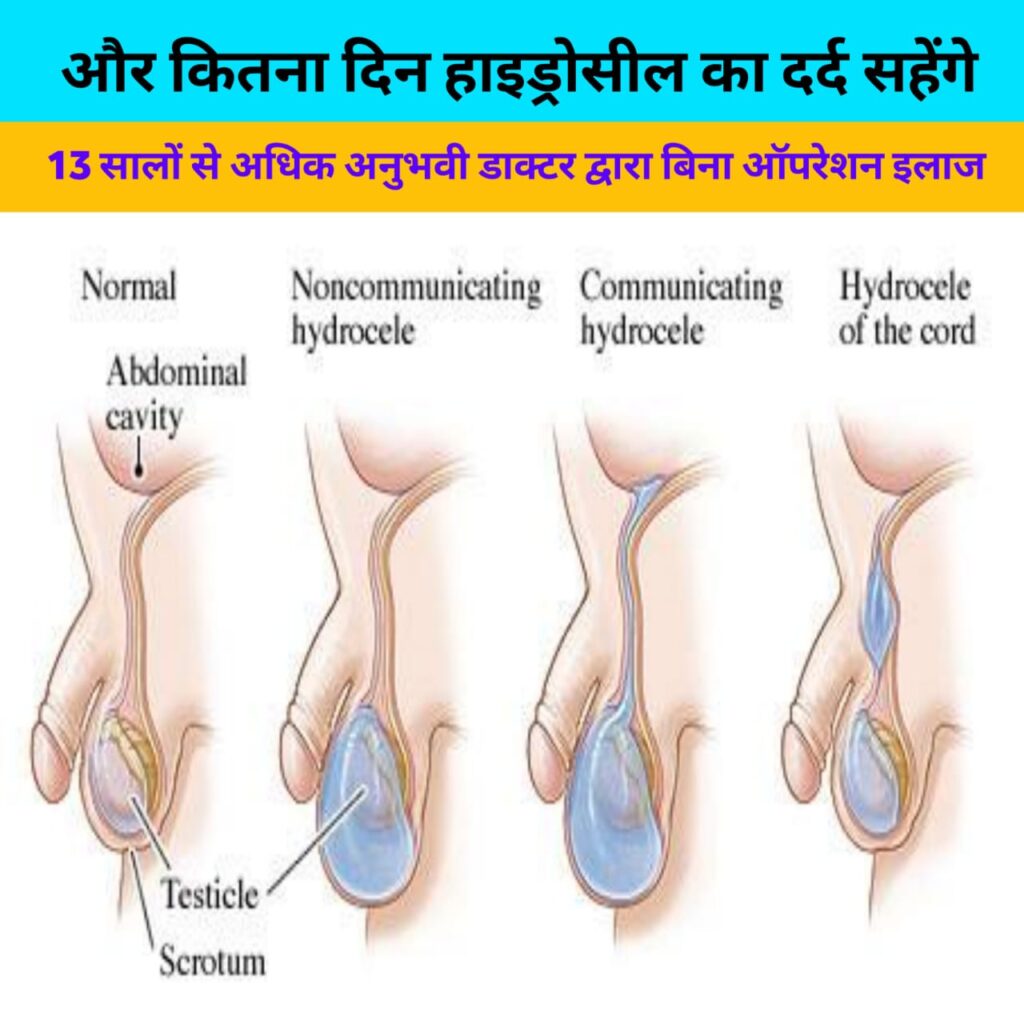 whatsapp image 2025 11 03 at 01.21.46 f43ff5a5