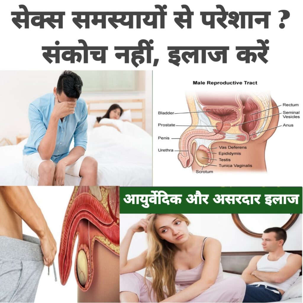 whatsapp image 2025 11 03 at 01.44.09 9da42630