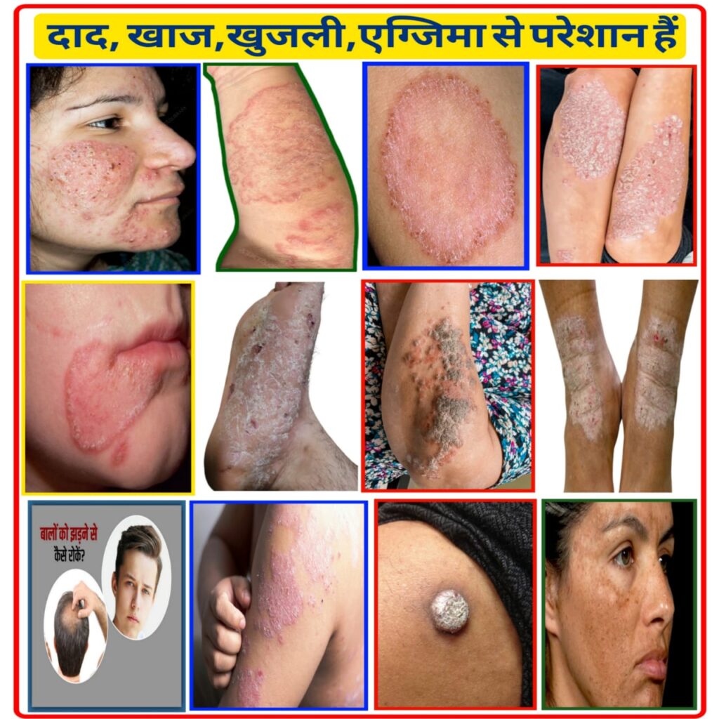 whatsapp image 2025 11 03 at 01.54.21 74f2a0aa