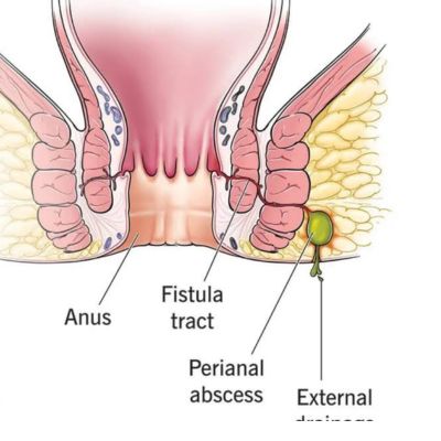 untitled design (25)