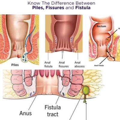 untitled design (26)